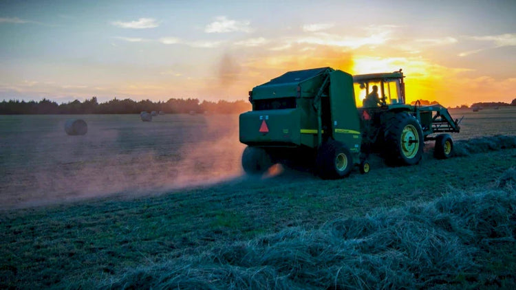 Agrar-shorts-shop-tshirts